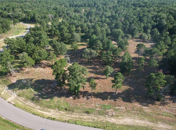 3145 Shadow Pine Drive, Larue, TX 75770