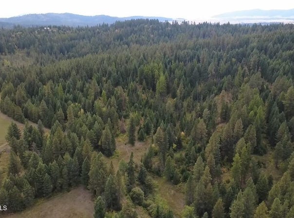 NKA HWY 95, Plummer, ID 83851