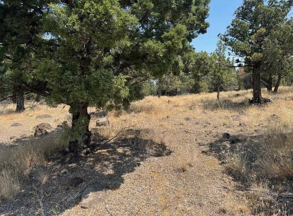 Dwinnell, Weed, CA 96094