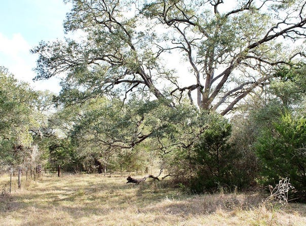 TBD Lobo Lane, Columbus, TX 78934