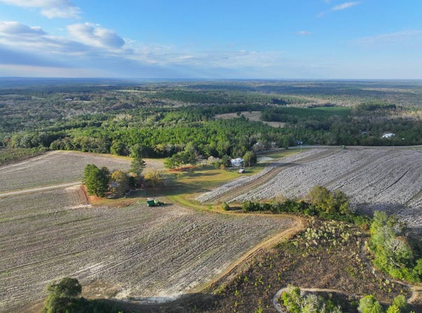 1739 County Rd 7, Skipperville, AL 36353