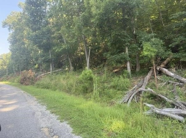 TRACTS 7-9 CARROLL HOLLOW Rd lot: 7,8,9, Waynesboro, TN 38485