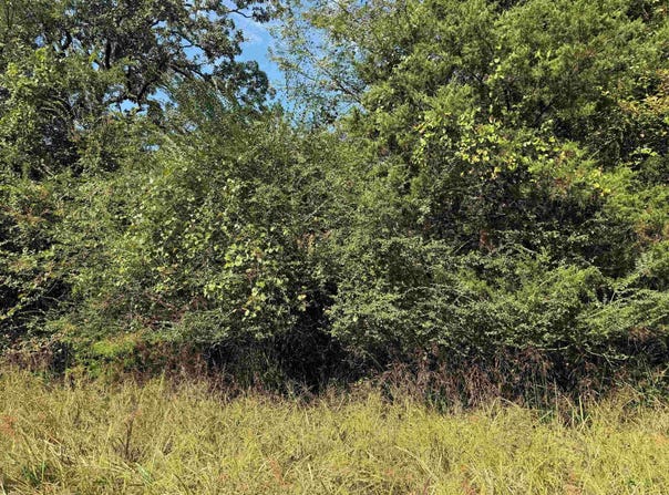186 Wayback Lane, Cove, AR 71937
