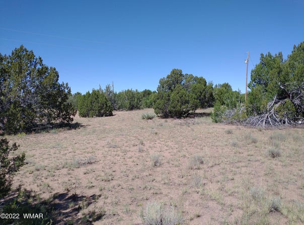 61 Spring Drive, Concho, AZ 85924