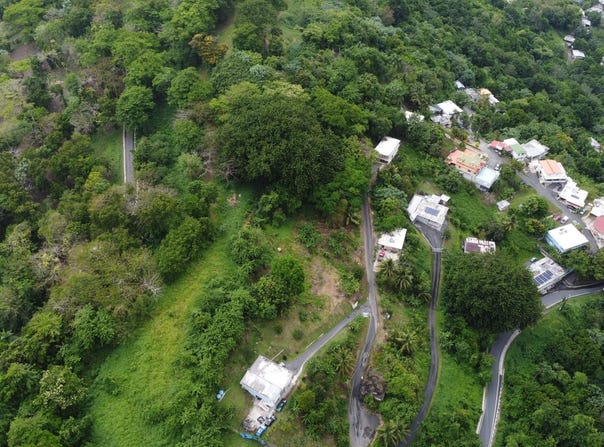 Mamey, Guaynabo, PR 00971