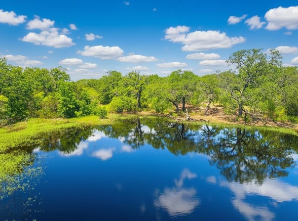 1096 County Road 345, Ranger, TX 76470