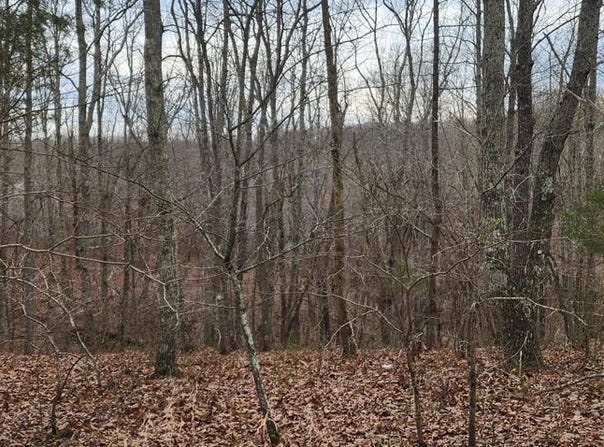Birdsong Rd, HOLLADAY, TN 38341