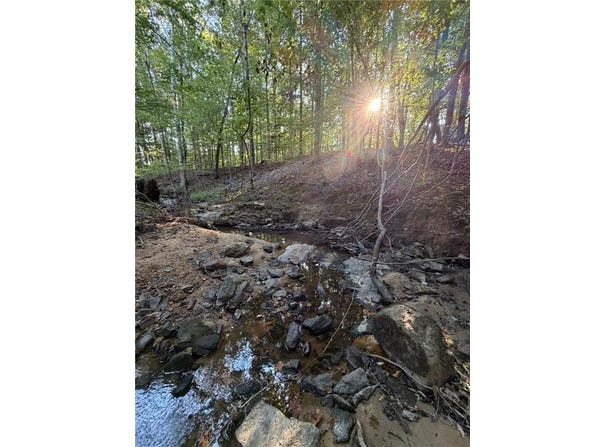 4250 BONFIRE Bluff, OPELIKA, AL 36804