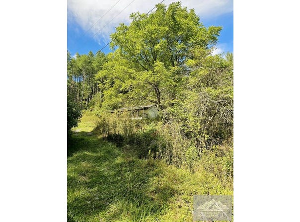 9575 Mud Fork Road, BLUEFIELD, VA 24605