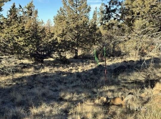 Canvasback Drive, Bonanza, OR 97623