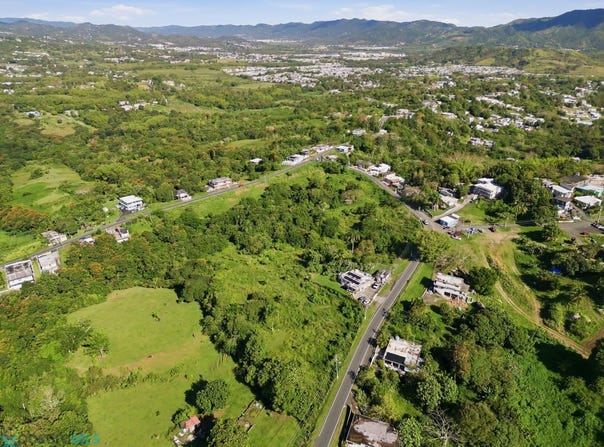 Juncos, Juncos, PR 00777
