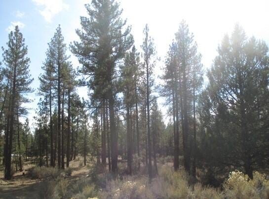 Pheasant Lane, Chiloquin, OR 97624