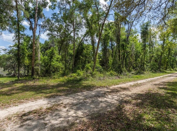 KENYON Drive, WEBSTER, FL 33597