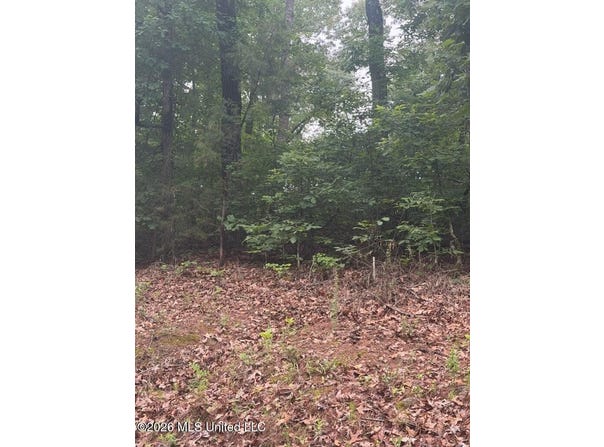 Shurden Owen Drive, Gore Springs, MS 38929