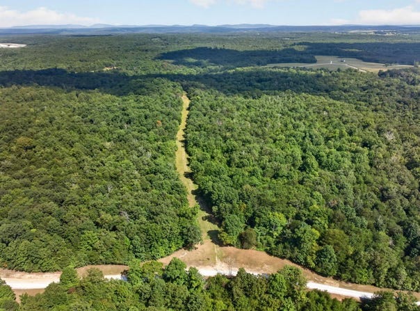 103 ACRE Halter Ct, Spencer, TN 38585