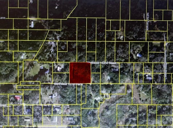 NE 163RD Place, CITRA, FL 32113