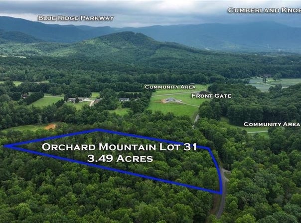 Mcintosh Drive, Lowgap, NC 27024