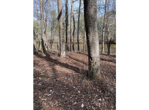 Harbor Rd lot: 77, Andalusia, AL 36421