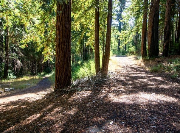 19145 Big Basin WAY, BOULDER CREEK, CA 95006