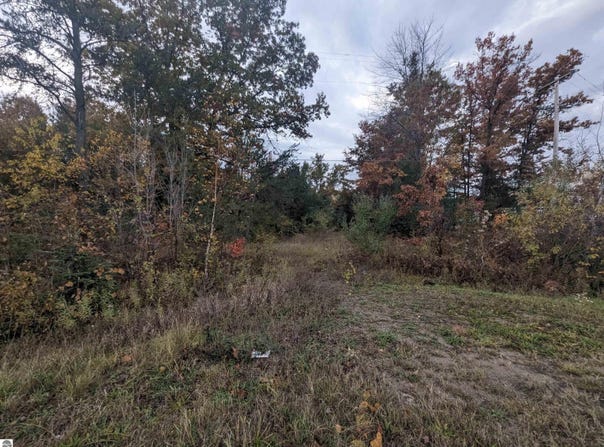 E Huron, Omer, MI 48749