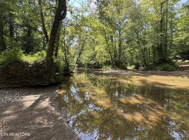 Brimstone Creek, Robbins, TN 37852