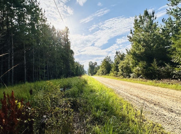 Chenault Drive, Tract A, Saluda, SC 29138