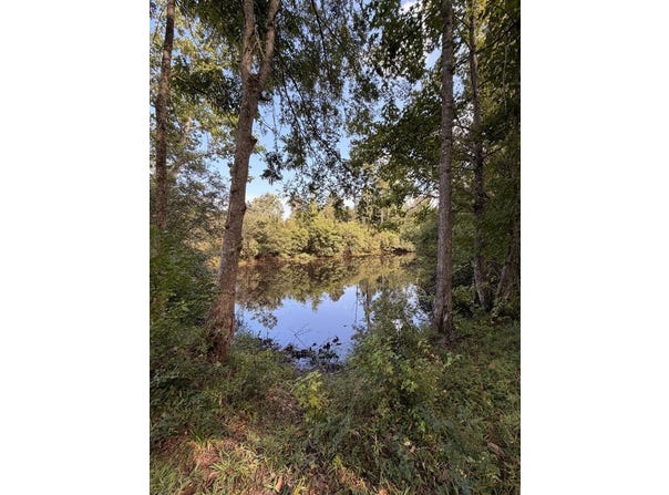 3563 Old Meriwether Trail, LAPINE, AL 36046
