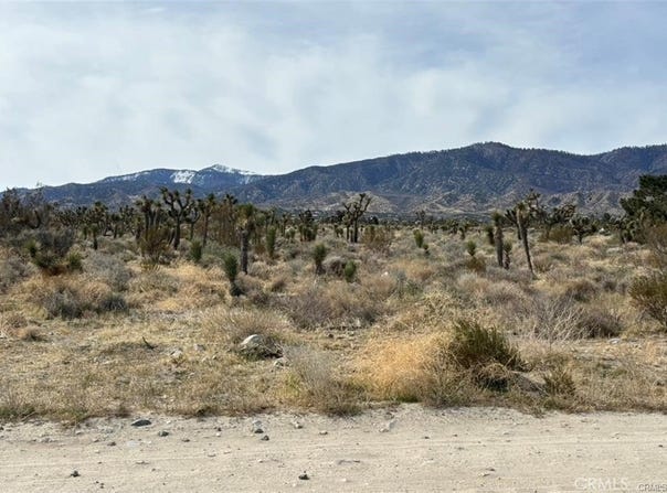 Mono Road, Pinon Hills, CA 92372