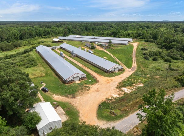 292 Arbo, Mount Olive, MS 39119