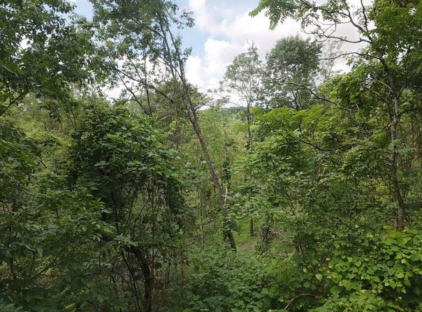 Shay Ridge Road, Wingett Run, OH 45789