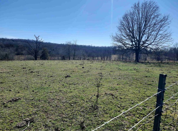 Robinson Street, Mammoth Spring, AR 72554