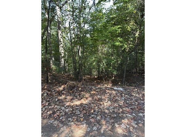 946 Aurora Lane, Ranger, GA 30734