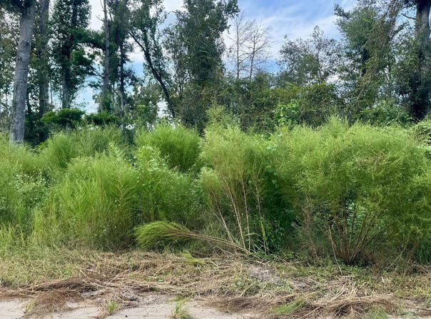 LT606 SW 74TH TRAIL, Jasper, FL 32052