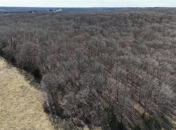 Tract 1 Highway CC, Salem, MO 65560