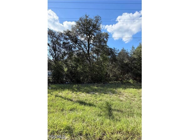 NE 106th Terrace, Williston, FL 32621