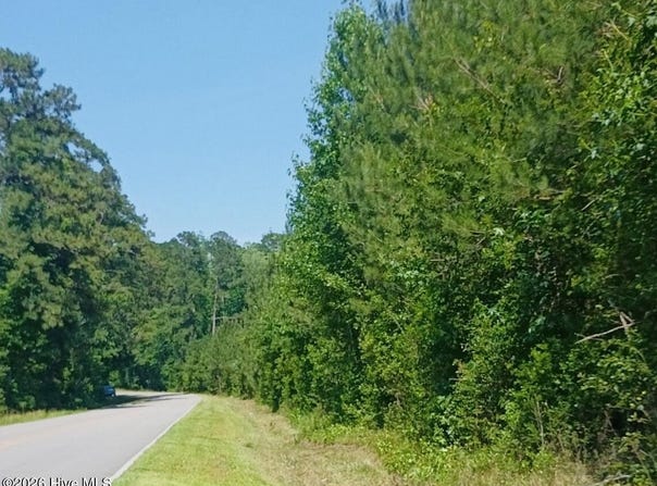 82 Acres Point Caswell Rd, Atkinson, NC 28421