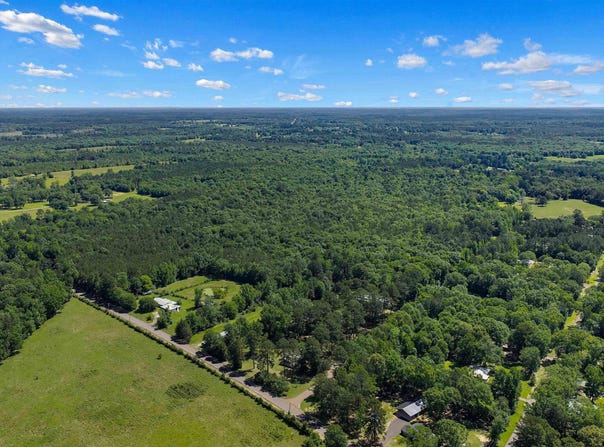 TBD CR 3361, DeBerry, TX 75639