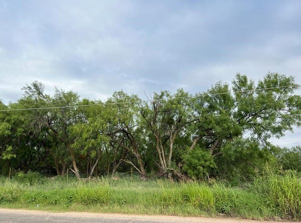 N Ave T, Snyder, TX 79549