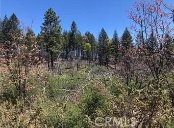 6847 High Valley, Lucerne, CA 95458