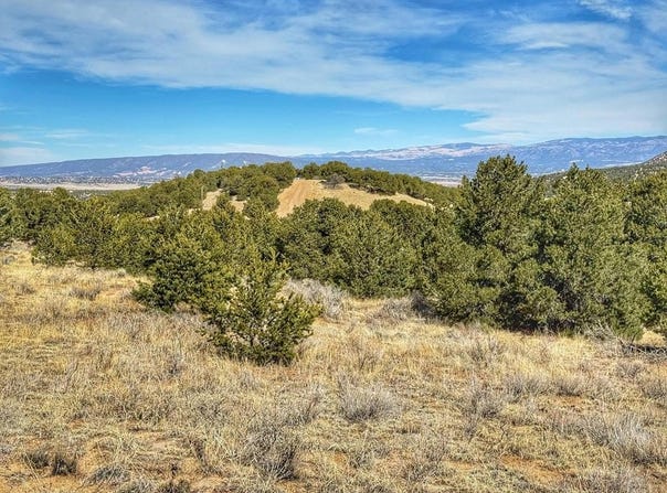 County Rd 572, Gardner, CO 81040