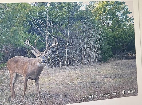 CR 2374, Detroit, TX 75436