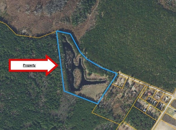 Hardwick Rd., Nichols, SC 29581