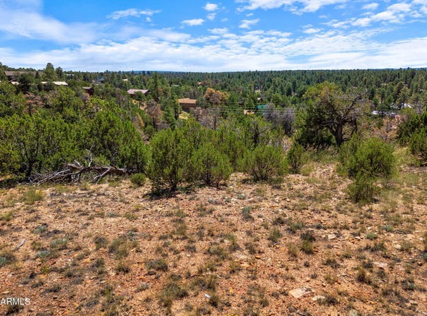 3620 ZANE GREY Trail, Overgaard, AZ 85933