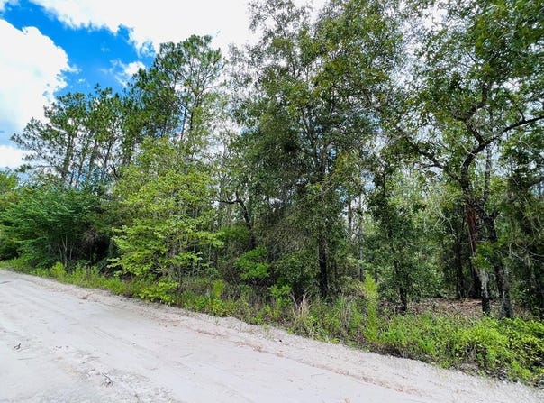 NW 16th Ave lot: 10, Bell, FL 32619