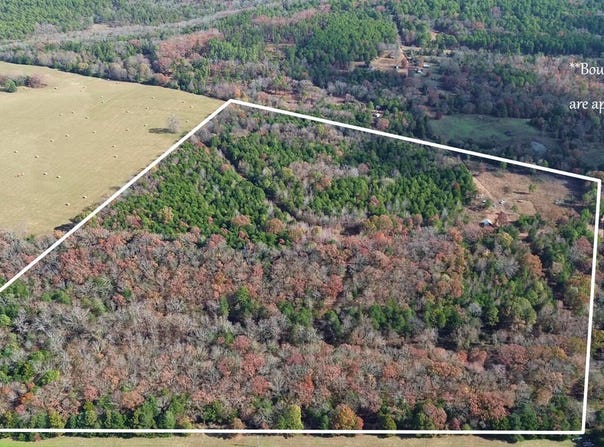 9943 Rough Branch Rd, Mulberry, AR 72947
