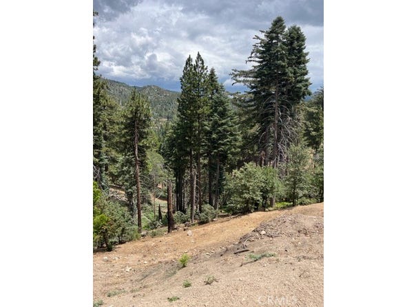 2349 Deep Creek, Running Springs, CA 92382