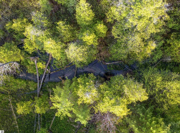 Honor Highway, Interlochen, MI 49643