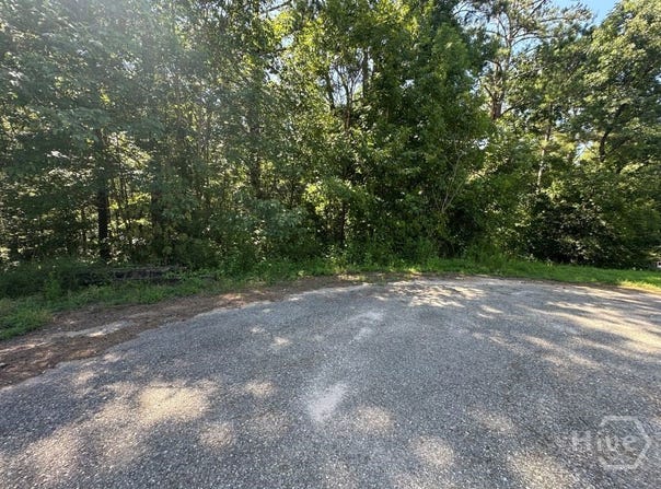River Bend Drive, Carlton, GA 30627