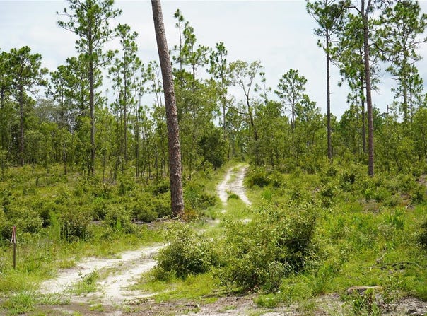 SE STATE ROAD 121 LOT A & B, MORRISTON, FL 32668
