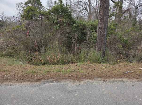 Mitten Road, Moncks Corner, SC 29461
